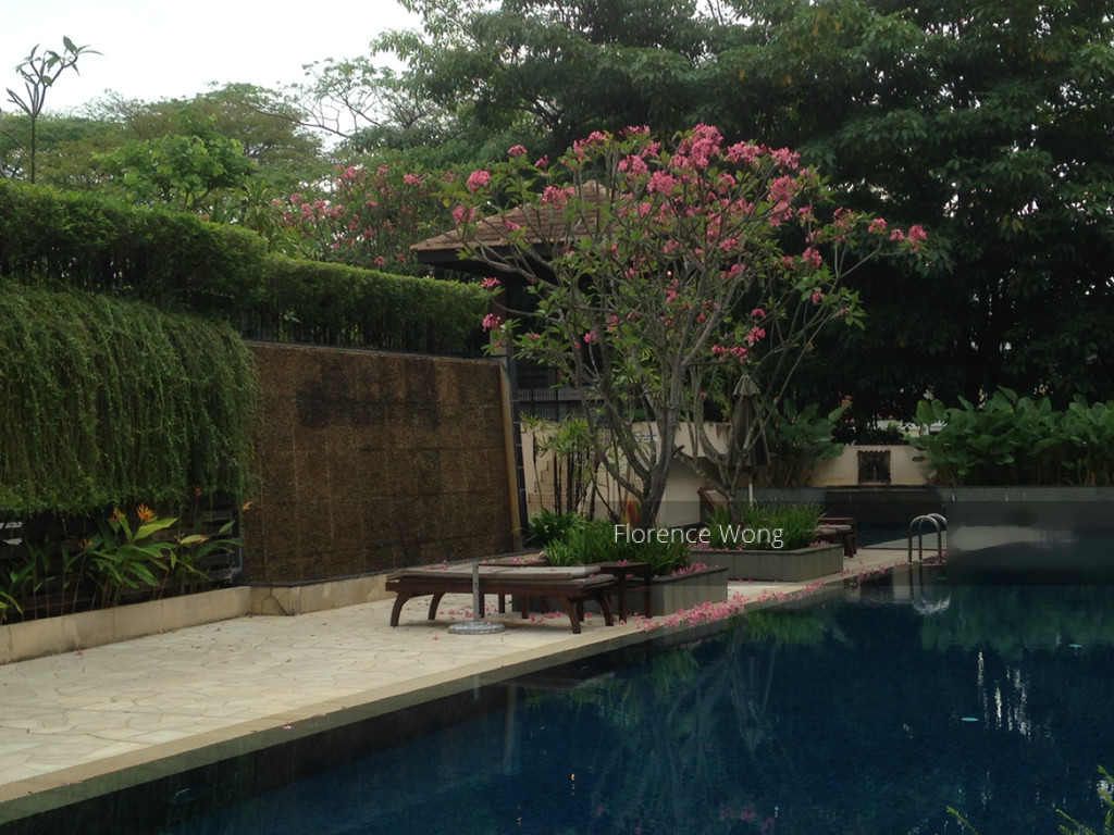 The Sensoria thumbnail photo